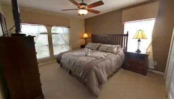 ceiling fan & blinds