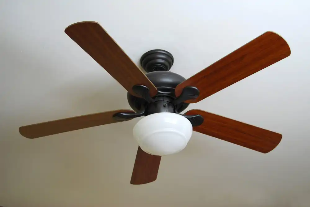 ceiling fan installed