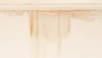 water stains ceiling