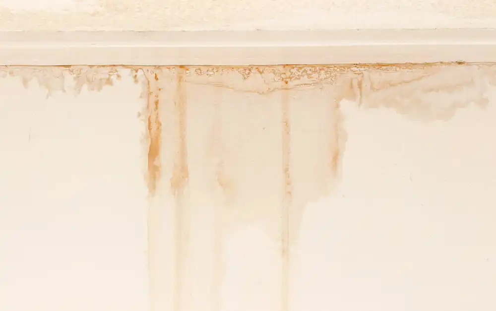 water stains ceiling